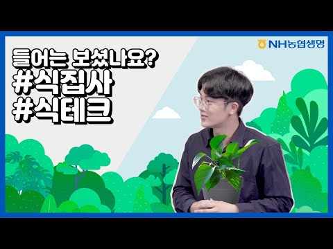 들어는 보셨나요? 식집사, 식테크 들어는 보셨나요? 식집사, 식테크
