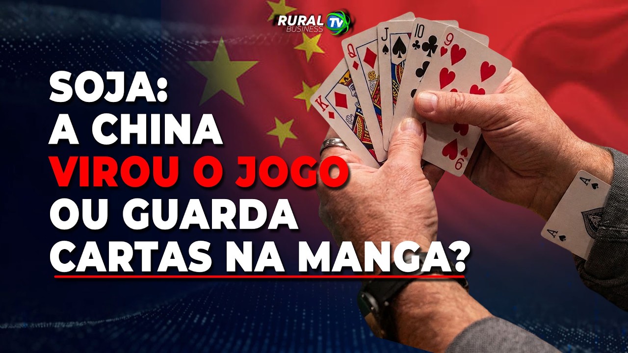 BOI BR: O FESTIVAL DE BOBAGENS QUE CIRCULA NA MÍDIA NÃO TEM LIMITE!