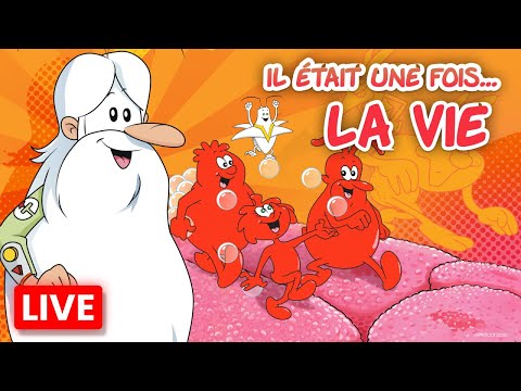 🔴 Il était une fois... La Vie 🧠🦠 En direct ! Explore le corps humain