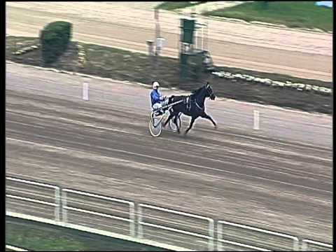 trotto 21/05/2015 - prova di riqualifica