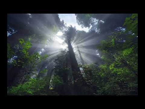 Tayllor Feat. Andile Mbili - Secret Places (Original Mix)