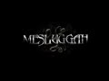 Messuggah - The Paradoxical Spiral