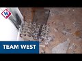 Bewoners Noordeinde opgeschrikt door vuurwerk in de gang - Team West