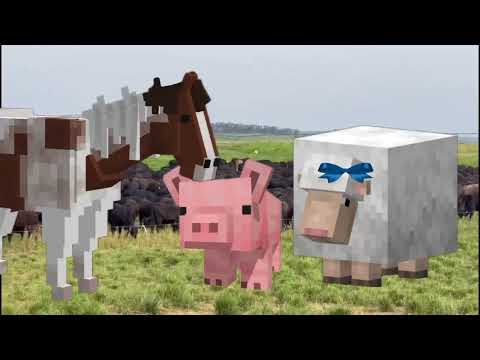 A turminha da Bicharada apresentando fazenda Santa Nice - Amaporã Paraná