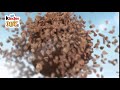 Kinder Joy 6 Taste Bumper Ad ID