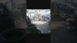 Download lagu detik detik ban mobil meledak#shorts #meledak mp3 Download lagu detik detik ban mobil meledak#shorts #meledak mp3