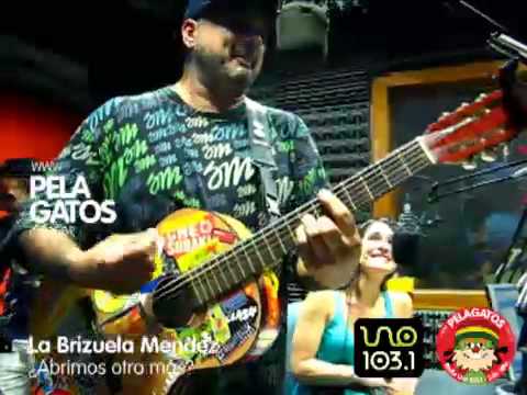 La Brizuela Mendez - Reggae en PelaGatos - Abrimos otra mas