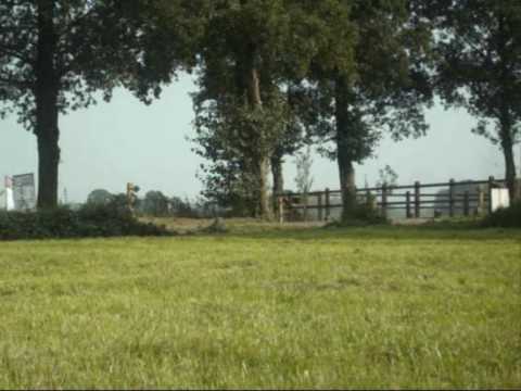 Hellendoorn Rally 2009!