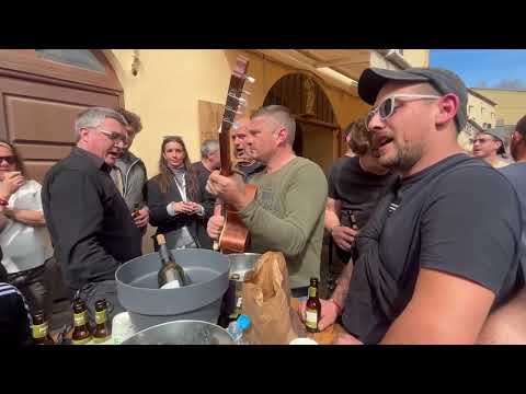 Fiure di Palestina ✊