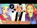 New Music Sirbaa Oromoo Haraa 2023