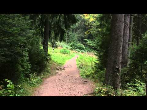 Drumetii in parcurile naturale din Judetul Neamt