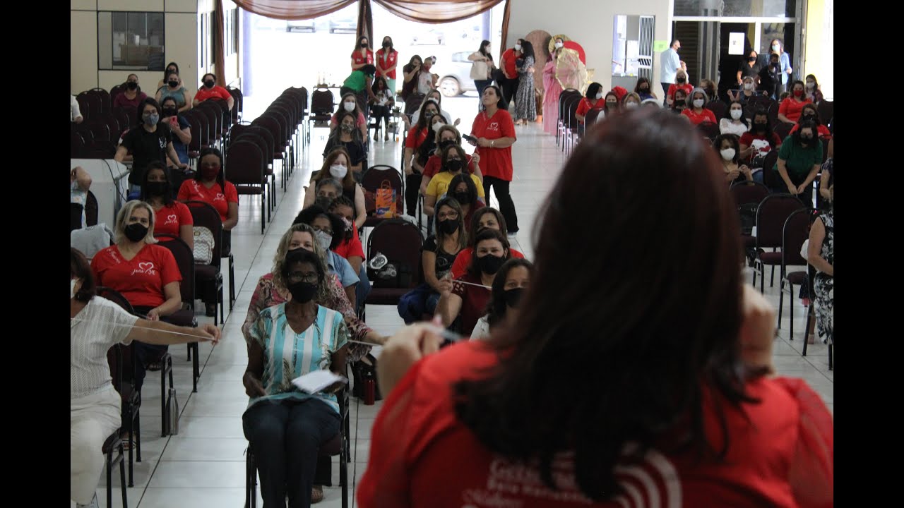 Resiliência - Dinâmica do elástico /Ninfa Priscila