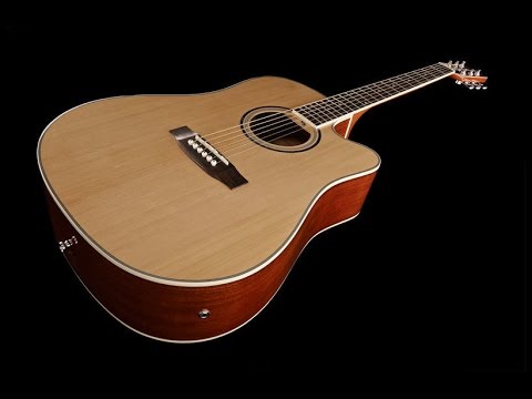 Harley Benton D120CE NT Review by John Robson Guitar Tuition