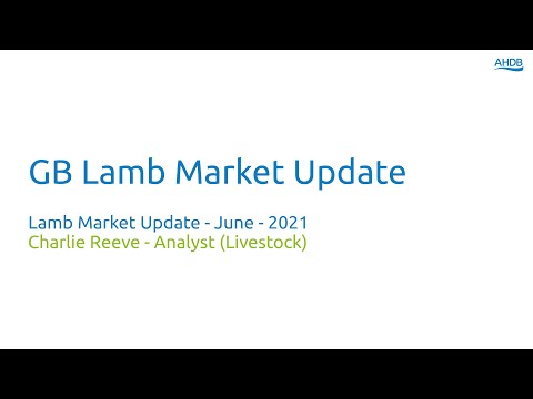 GB Lamb Market Update - Lamb Market Update - June -...