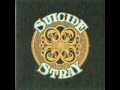 Suicide ~ Stray