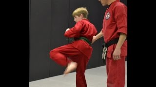 preview picture of video 'Kids Karate and martial arts classes Clayton NC North Carolina Push Ups'