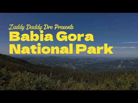 Green Trail to Food, Yellow Trail to Pain, Red Trail to Glory | Zaddy Daddy Dre vs Babia Góra