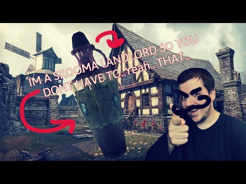 I Want To Be A Skooma Land Lord | Skyrim A.I. Adventures