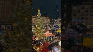 【ドレスデン】ドイツのクリスマスマーケット Part.1  #dresden #christmasmarket #germany #ドイツ #クリスマスマーケット