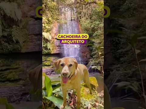 😱IMPERDÍVEL: #cachoeiradoarquiteto #apiuna