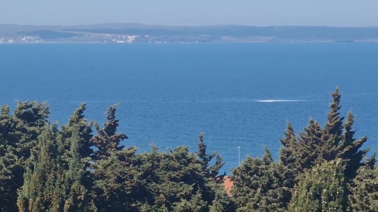 Sinop açıklarında ilginç görüntü
