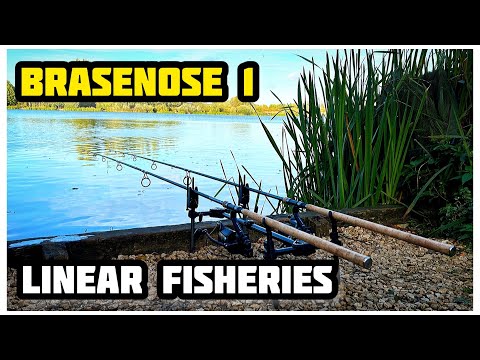 WE WEREN'T READY FOR BRASENOSE 1 AT LINEAR FISHERIES!
