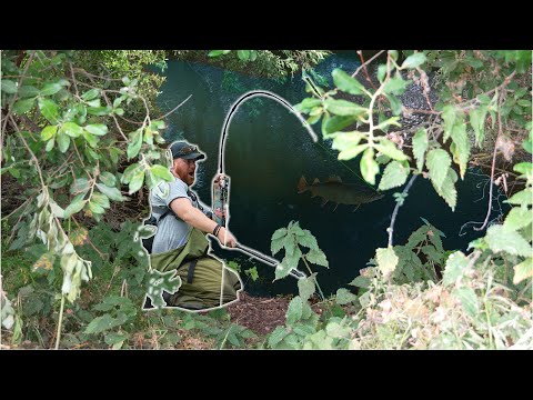 Can't Believe this RIVER GIANT Ate My Perch Lure!