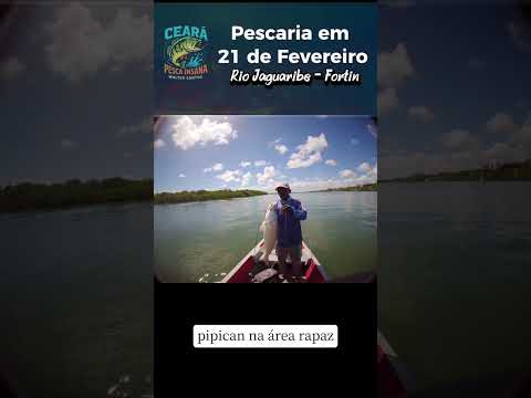 CEARÁ PESCA INSANA - RIO JAGUARIBE - FORTIM -CEARÁ-  MUITOS PEIXES E GRANDES PESCADORES.