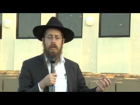 food distribution pesach 2015