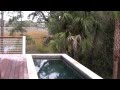 2013 HGTV Dream Home - YouTube