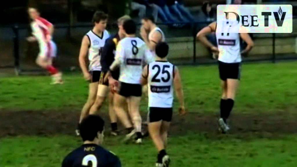 Leigh Williams Highlights