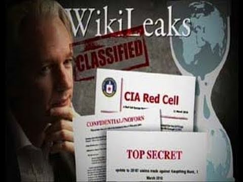 The Whistleblower