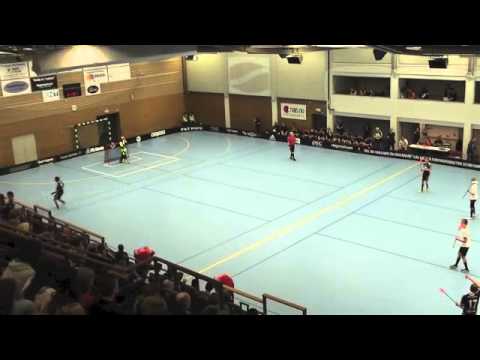 TT-FCH JAS 2013-03-16