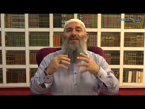 7. Pranimi i kritikave nga Shejh Albani - Hoxhë Bekir Halimi