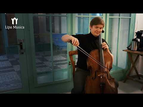 Lípa Musica 2024 / oficiální trailer