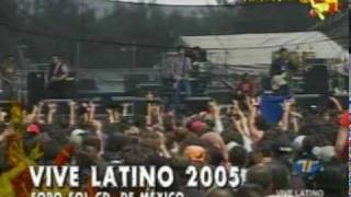 Division Minuscula - Betty boop (Vive Latino 2005)