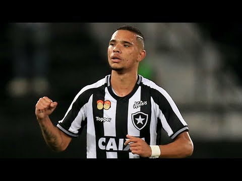 ALL 12 GOALS BY LUIZ FERNANDO FOR BOTAFOGO