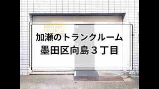 YouTube動画