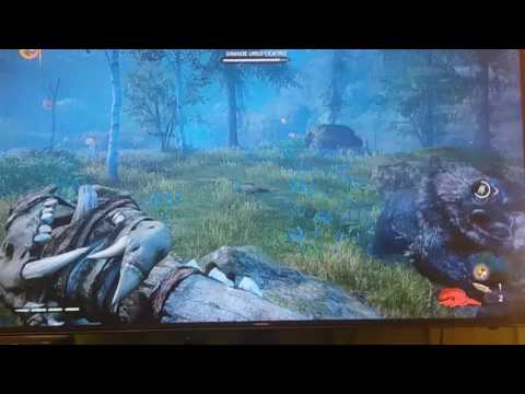 #2#matando e domando o Grande Urso cicatriz