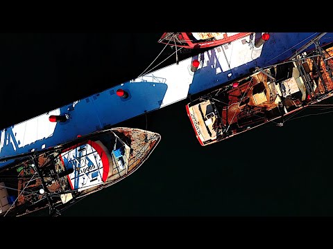 Seas of Life: A Commercial Fishing Odyssey