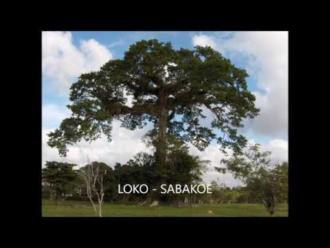 LOKO SABAKOE