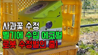 사과꽃 수정, 로봇처럼 일하는 수정벌, 주변을 다 수정시키는 팜닥터 에코벌