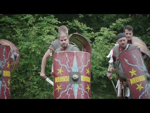 wooden shield in tight formation 22