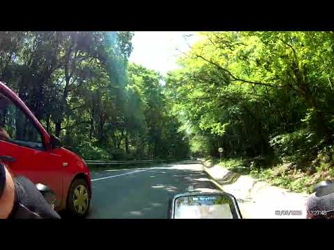 Tg. Mureș - Tâmpa - Acățari - Maiad - Tg. Mureș 2.6.2025 (3)//Sânișor - urcare