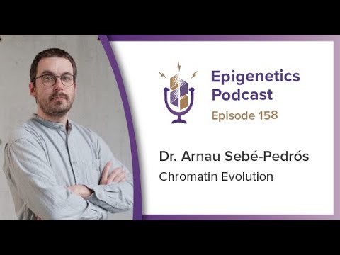 Epigenetics Podcast #158 - Chromatin Evolution with Arnau Sebé-Pedrós