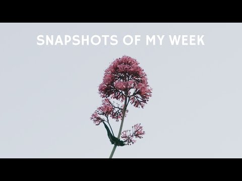 snapshots of my week - 5th june