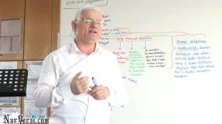 Takva Nasıl Olur (Zan, Malumat, Vesvese içerir) - YOZGATNUR