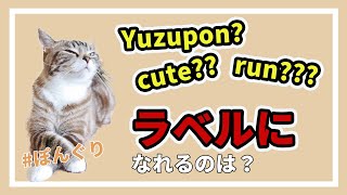 【ぽんぐり3】英語の原則〜そもそもラベルって？〜