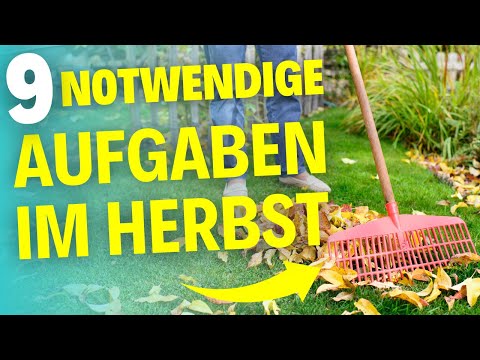 Gartenarbeit im Herbst - Diese 9 Aufgaben solltest du nicht vergessen
