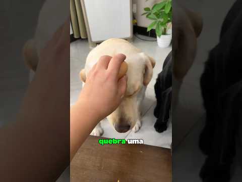 Ajuda Pra Quebrar O Ovo 😂